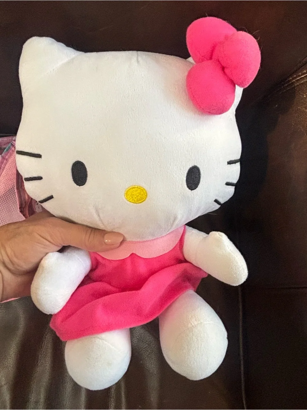 Hello Kitty Pink Mesh storage Bags with Character Print